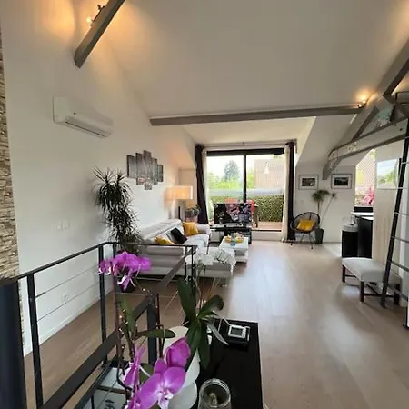 Superbe Loft Climatise A Avec Terrasse Suresnes