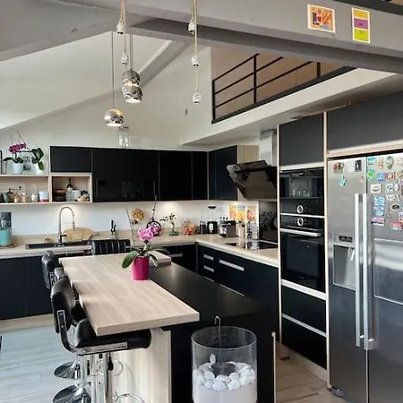 Superbe Loft Climatise A Avec Terrasse *