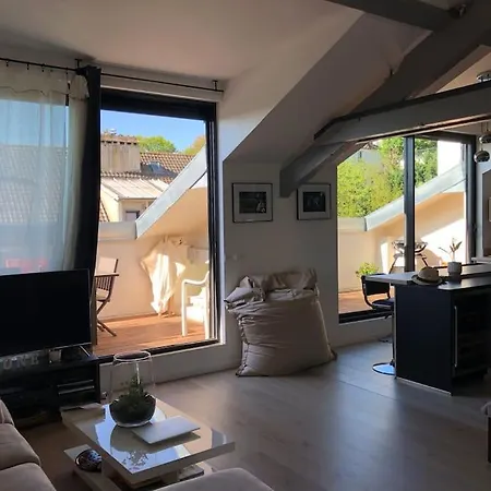 Superbe Loft Climatise A Avec Terrasse Suresnes