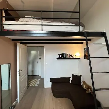 Superbe Loft Climatise A Avec Terrasse Apartment *