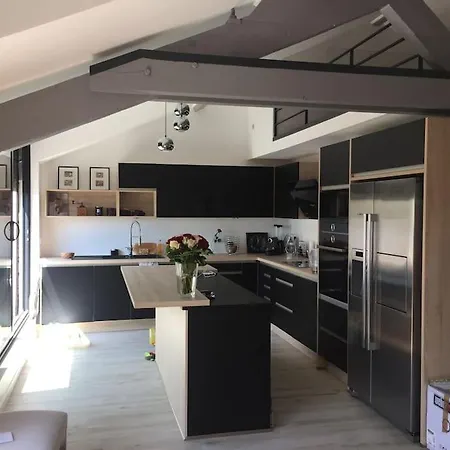 Superbe Loft Climatise A Avec Terrasse Suresnes