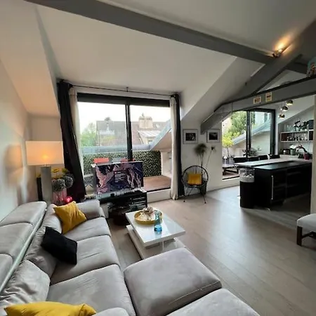 Superbe Loft Climatise A Avec Terrasse Apartment *